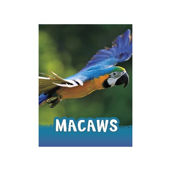 9781398213142 thumbnail