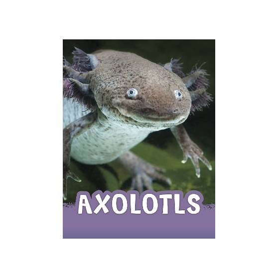 9781398243927 thumbnail