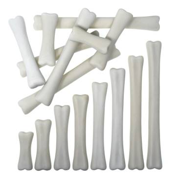 Dinosaur Bones Match and Measure Set