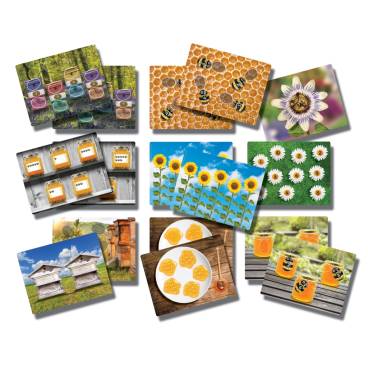 Honey Bee Number Counting Cards