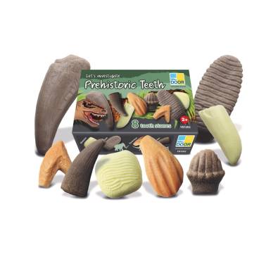 Prehistoric Teeth - Let's Investigate