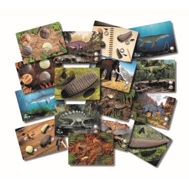 Prehistoric Teeth Explore and Discover Activity Cards