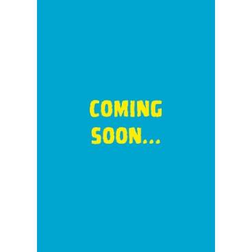 Flat Stanley: The Graphic Novel: His Original Adventure! (Flat Stanley)