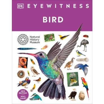 9780241652817 thumbnail