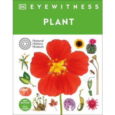 9780241738788 thumbnail