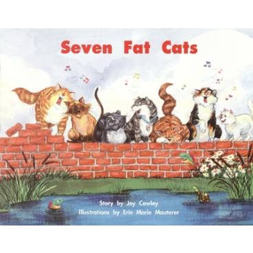 9780322019102 thumbnail