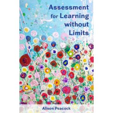 9780335261369 thumbnail