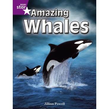 9780433034582 thumbnail