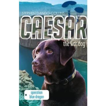 9780857980533 thumbnail