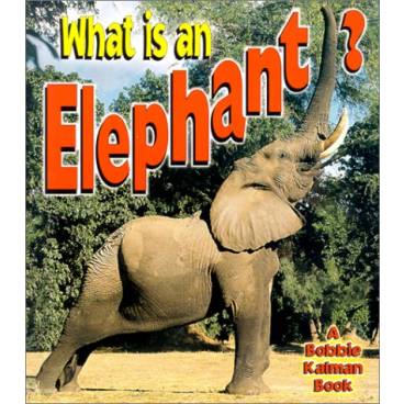 What is an Elephant