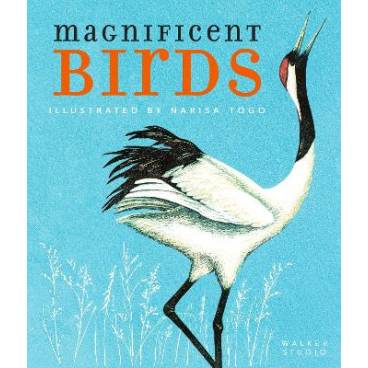 9781406393088 thumbnail