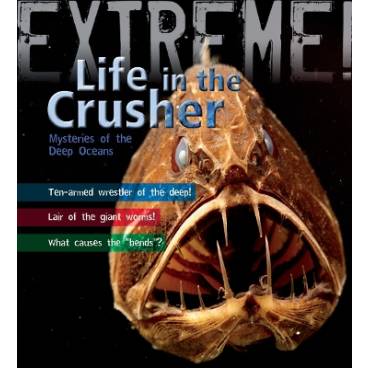 9781408101179 thumbnail