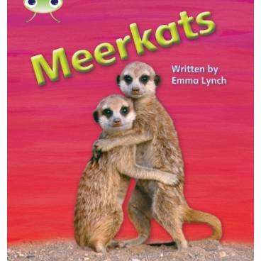 9781408260890 thumbnail