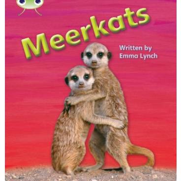 9781408260890 thumbnail