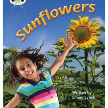 9781408260906 thumbnail