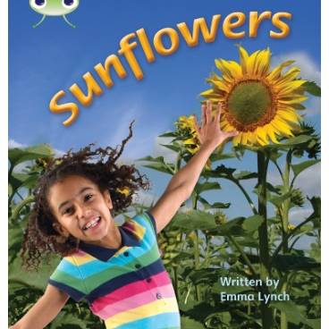 9781408260906 thumbnail