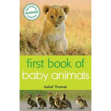 9781472904003 thumbnail