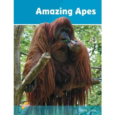 9781781270684 thumbnail