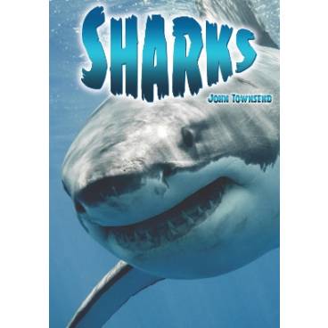 9781781475393 thumbnail