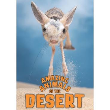 9781784641405 thumbnail