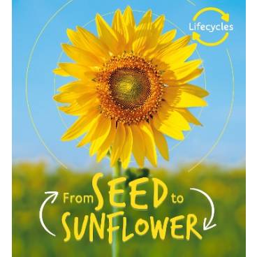 9781786036209 thumbnail