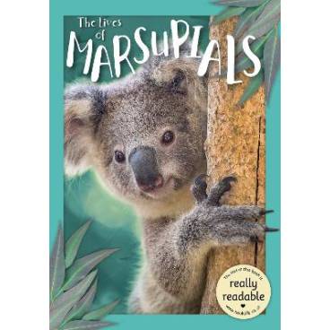 9781801551571 thumbnail