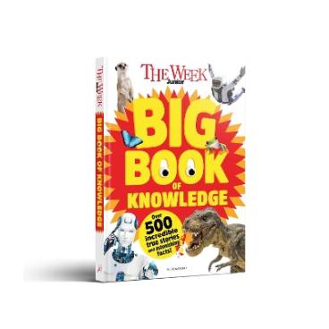 9781801995221 thumbnail