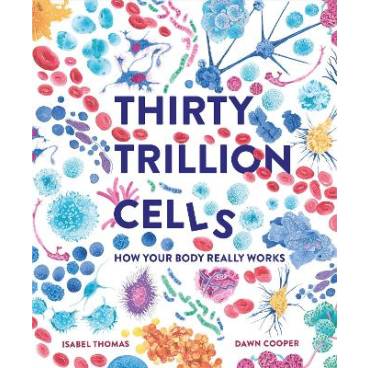 9781803380131 thumbnail