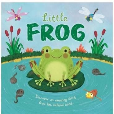 9781803687636 thumbnail