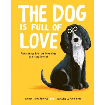 9781805134312 thumbnail