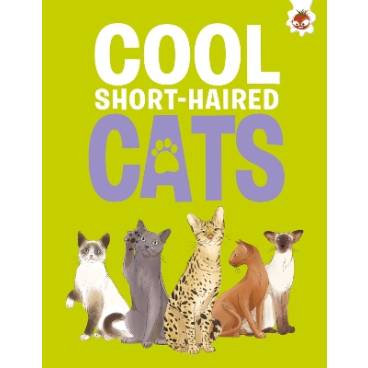 9781835693445 thumbnail