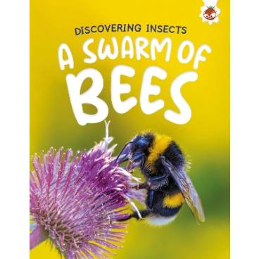 9781835694206 thumbnail