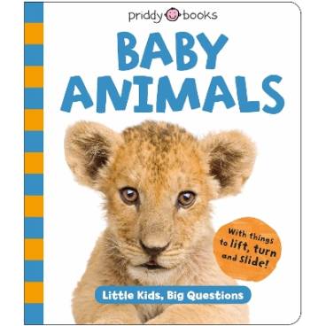 9781916745650 thumbnail