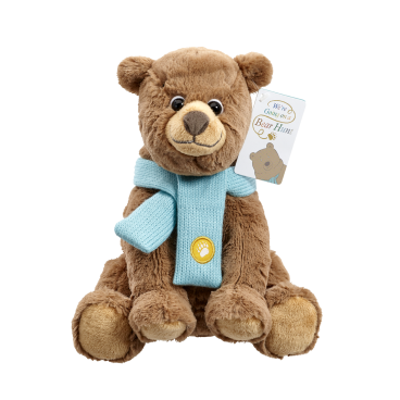 We&#039;re Going on a Bear Hunt - Soft Toy