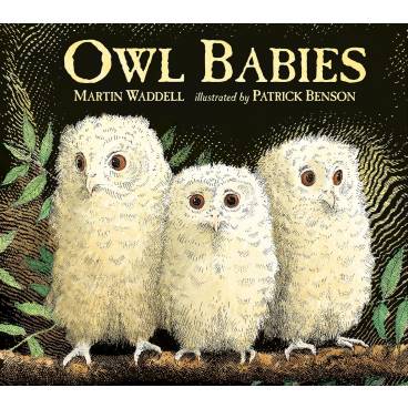 Owl Babies - Big Book