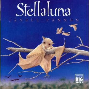 Stellaluna - Big Book