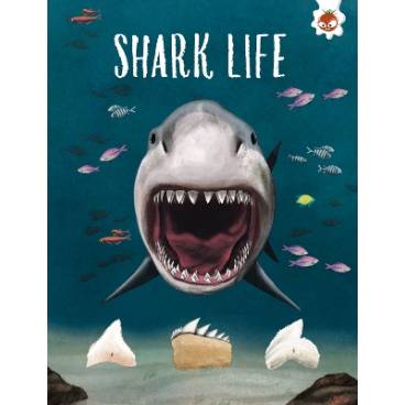 9781915461704 thumbnail