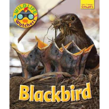 9781911341185 thumbnail