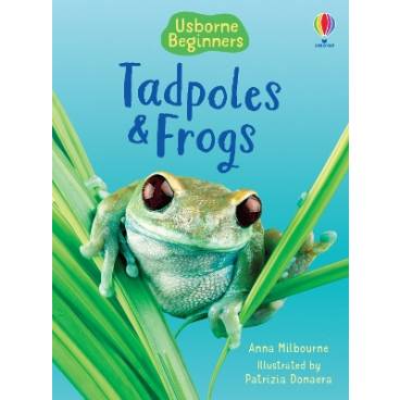 9780746074558 thumbnail