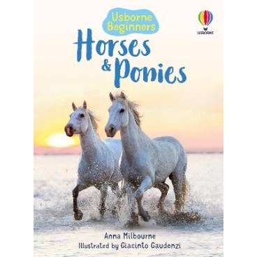 9780746074787 thumbnail