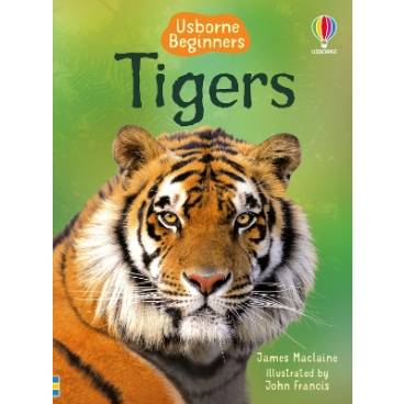 9781409530671 thumbnail