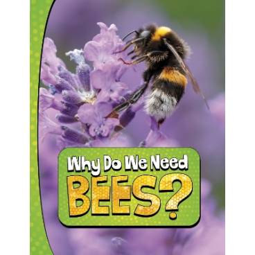 Why Do We Need Bees?