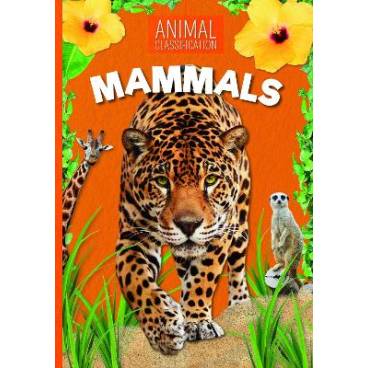 9781789980257 thumbnail