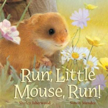 Run, Little Mouse, Run!