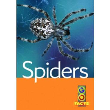 Spiders