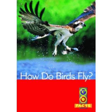How Do Birds Fly?