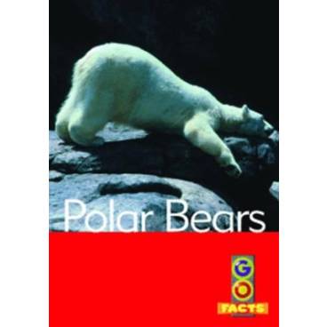 Polar Bears