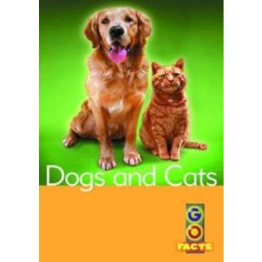 Dogs &amp; Cats