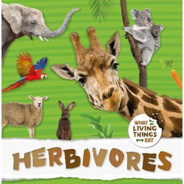 9781786374653 thumbnail