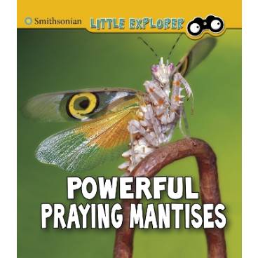 9781474794756 thumbnail